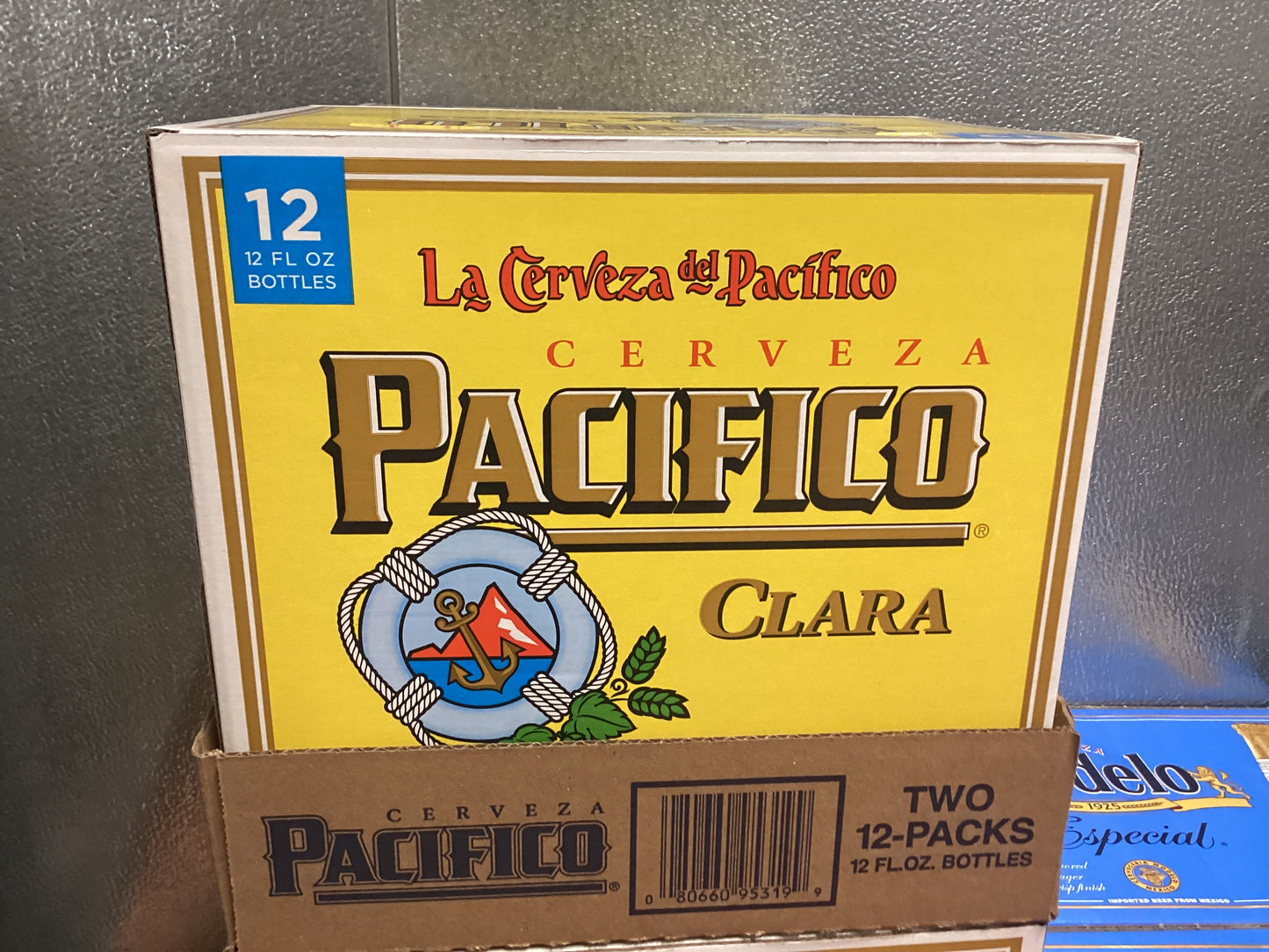 Pacifico Mexican Lager (12pk bottles)